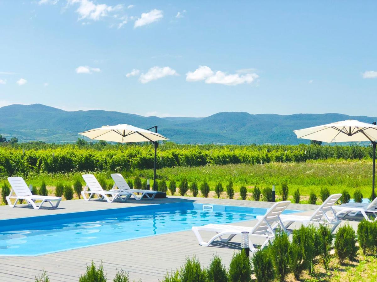 Finca Idoize Camping Hotel Akhmeta Exteriér fotografie